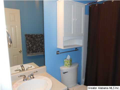 141 Ray Drive Locust Fork, AL 35097 - Photo 15 of 16