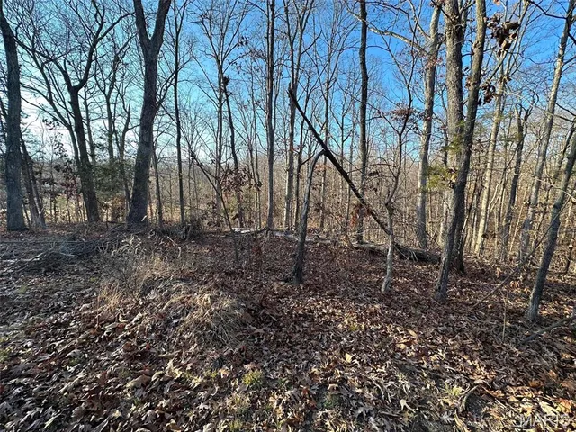 $55,000 | 15 Wagon Creek Loop, Creal Springs, IL 62922