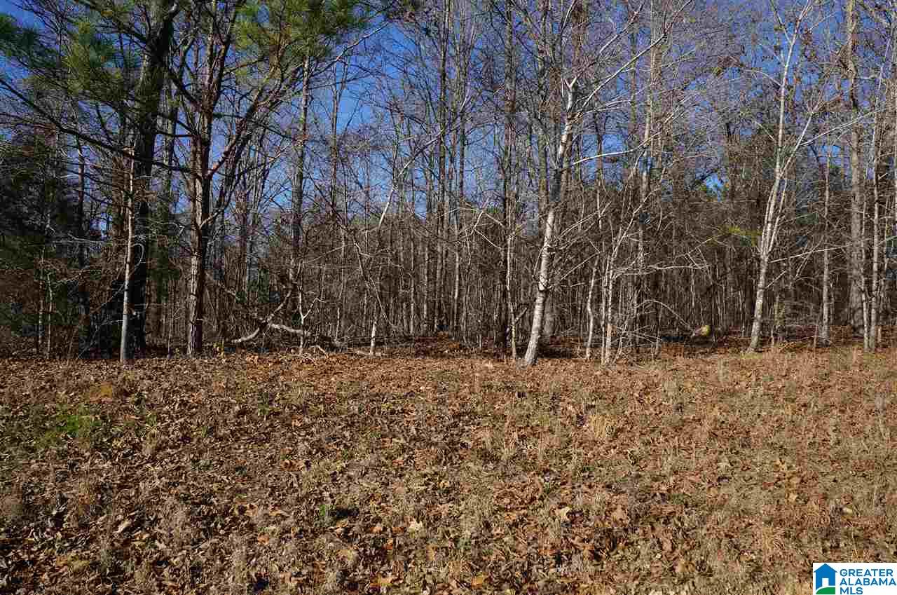 0 Fulton Circle, Unit 4 ACRES Sylacauga, AL 35150 - Photo 3 of 7
