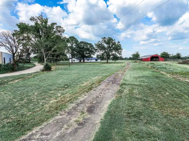 a view of a garden with trees