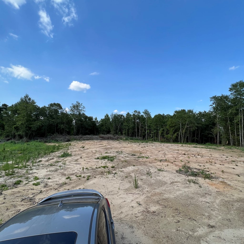 520 George Road Dothan, AL 36301 - Photo 10 of 12