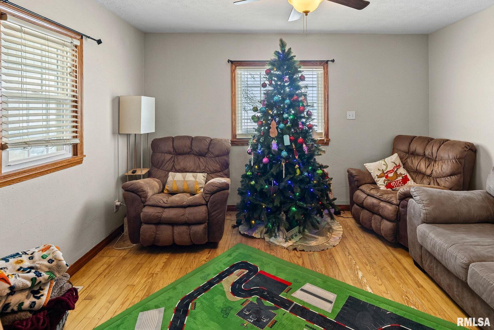 7302 Hoffman Road Centralia, IL 62801 - Photo 11 of 39 a living room with furniture and a flower pot