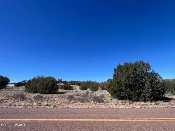 $150,000 | 3920 Freeman Holw Road, Snowflake, AZ 85937