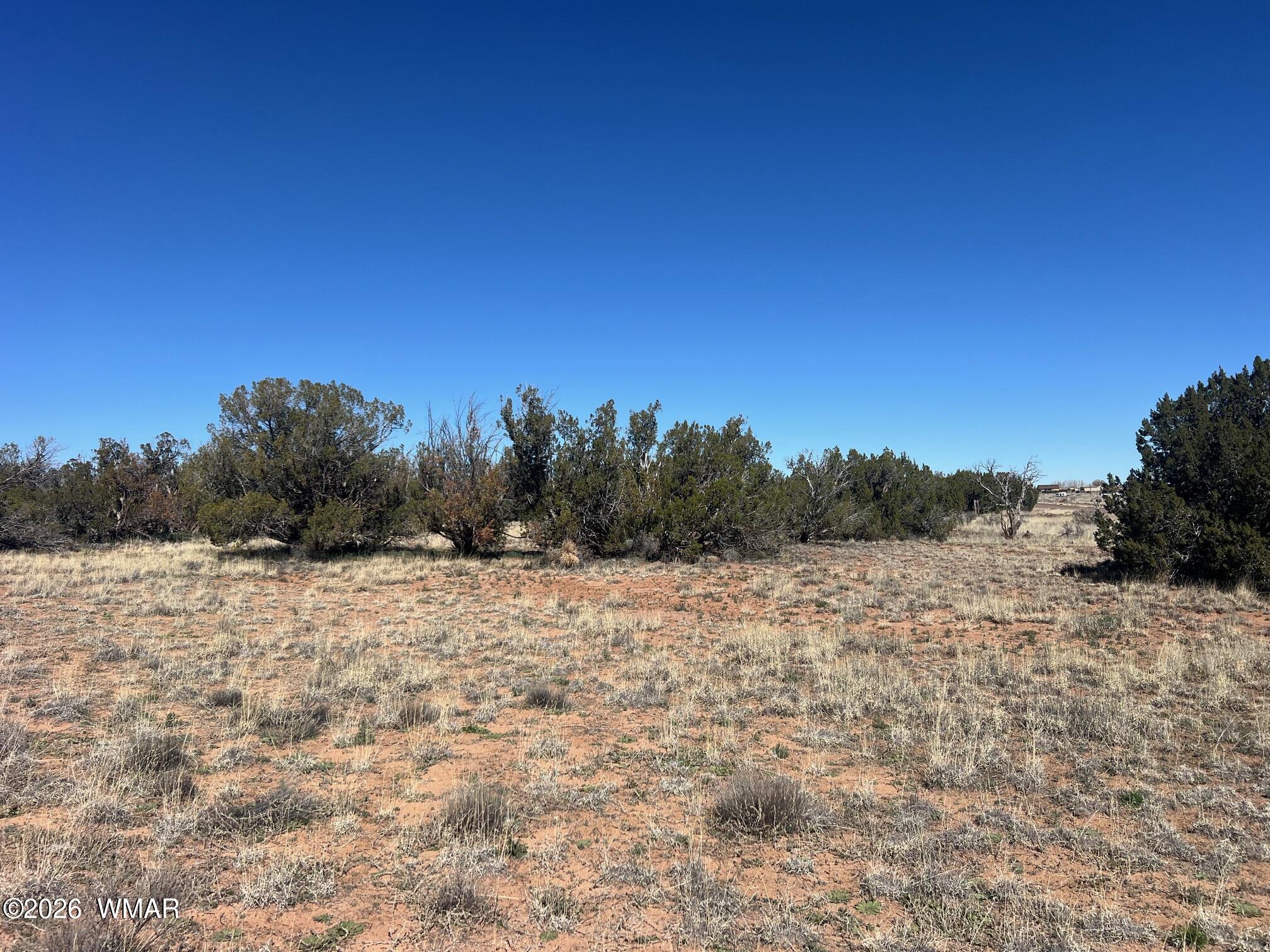 3920 Freeman Holw Road Snowflake, AZ 85937 - Photo 11 of 13 IMG_6485