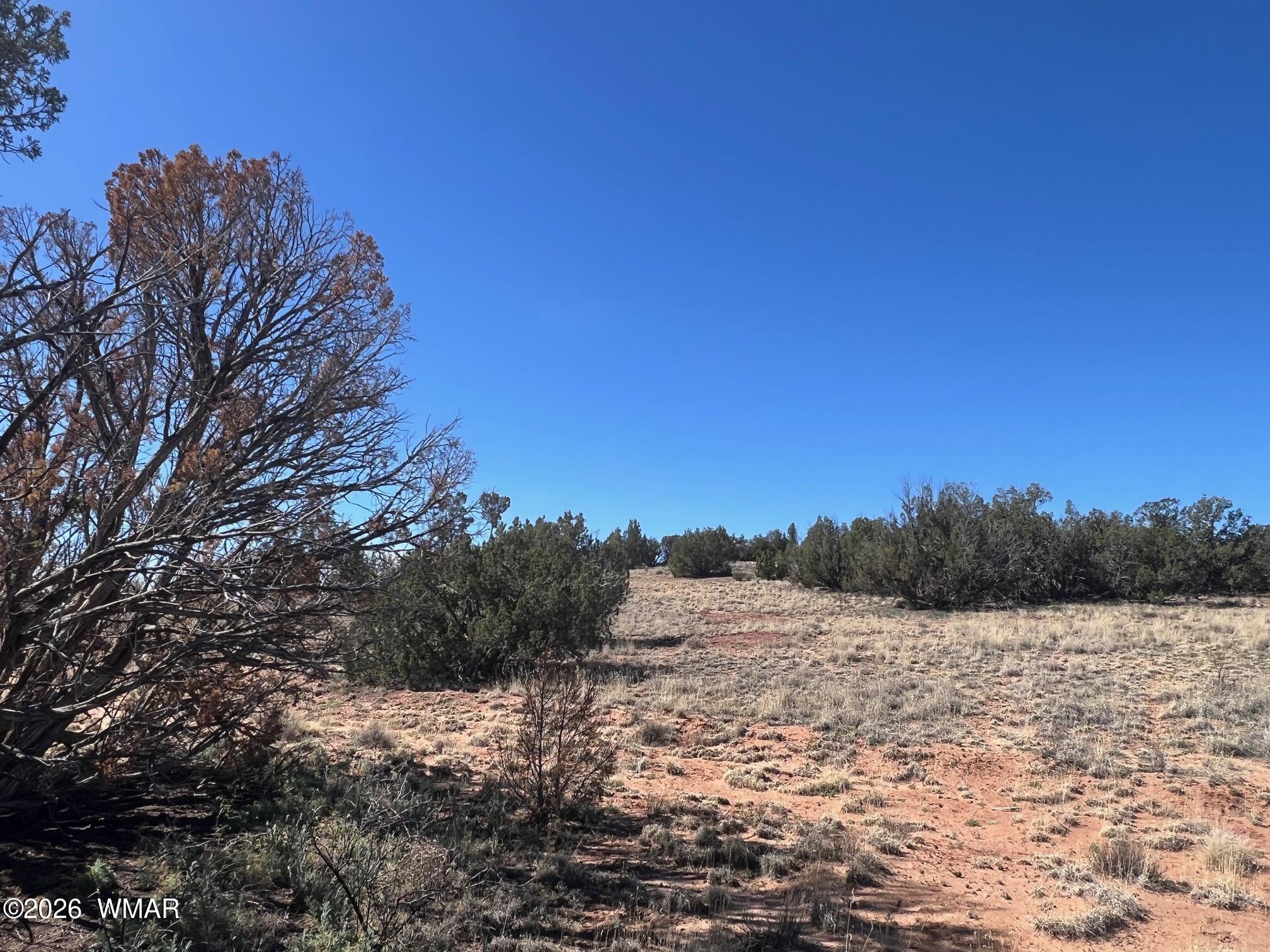 3920 Freeman Holw Road Snowflake, AZ 85937 - Photo 3 of 13 IMG_6478