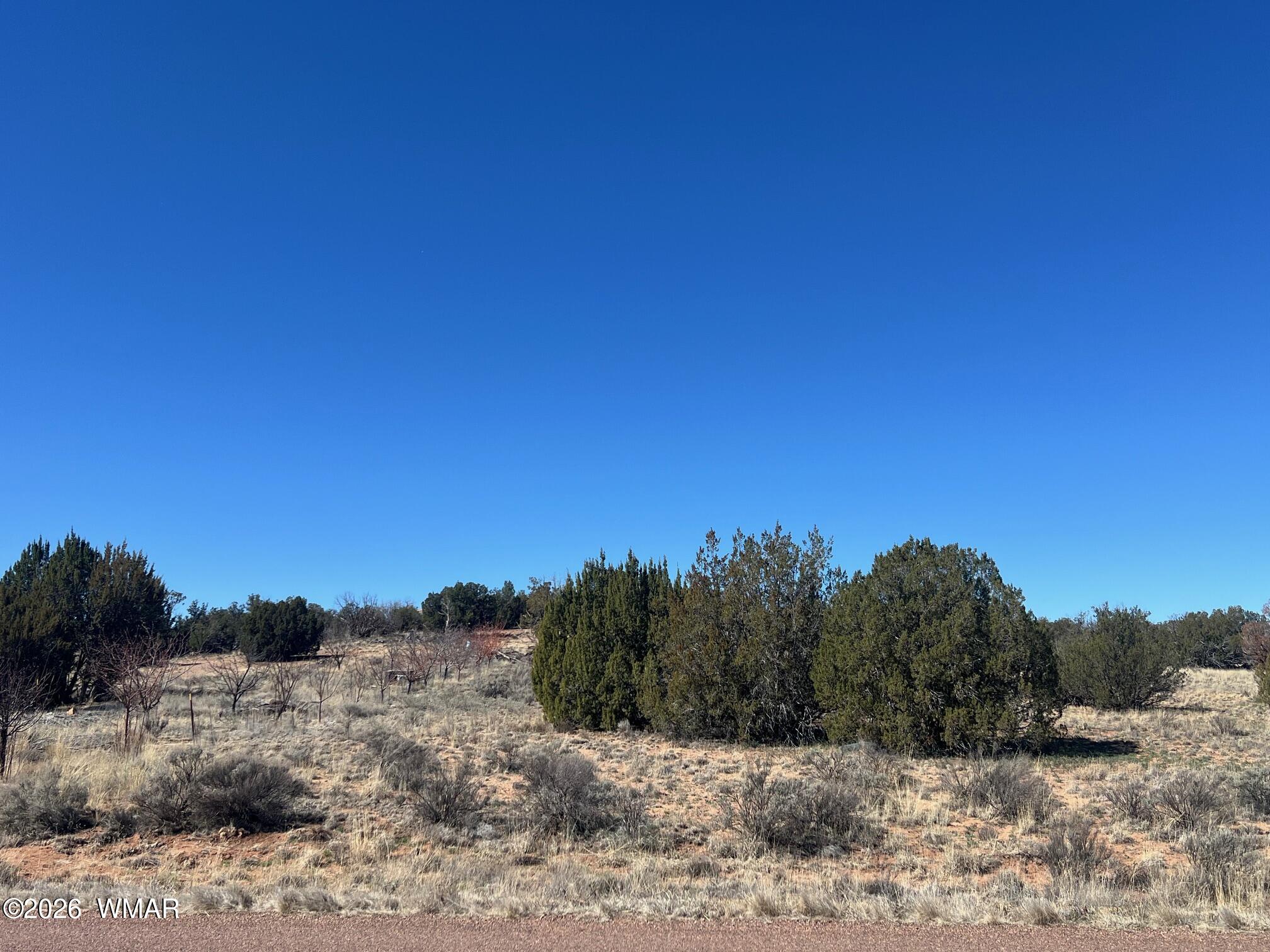 3920 Freeman Holw Road Snowflake, AZ 85937 - Photo 7 of 13 IMG_6475
