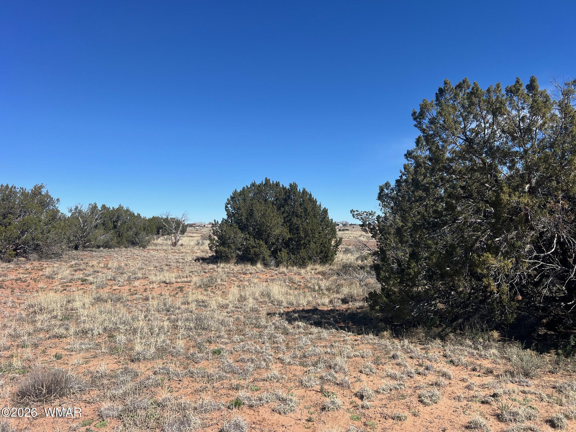 3920 Freeman Holw Road Snowflake, AZ 85937 - Photo 10 of 13 IMG_6484