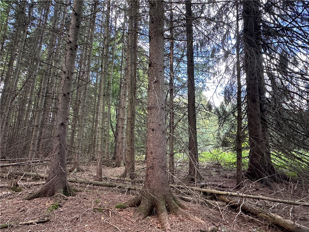 Lot 7 Mc Andrews Road Andover, NY 14806 - Photo 11 of 25