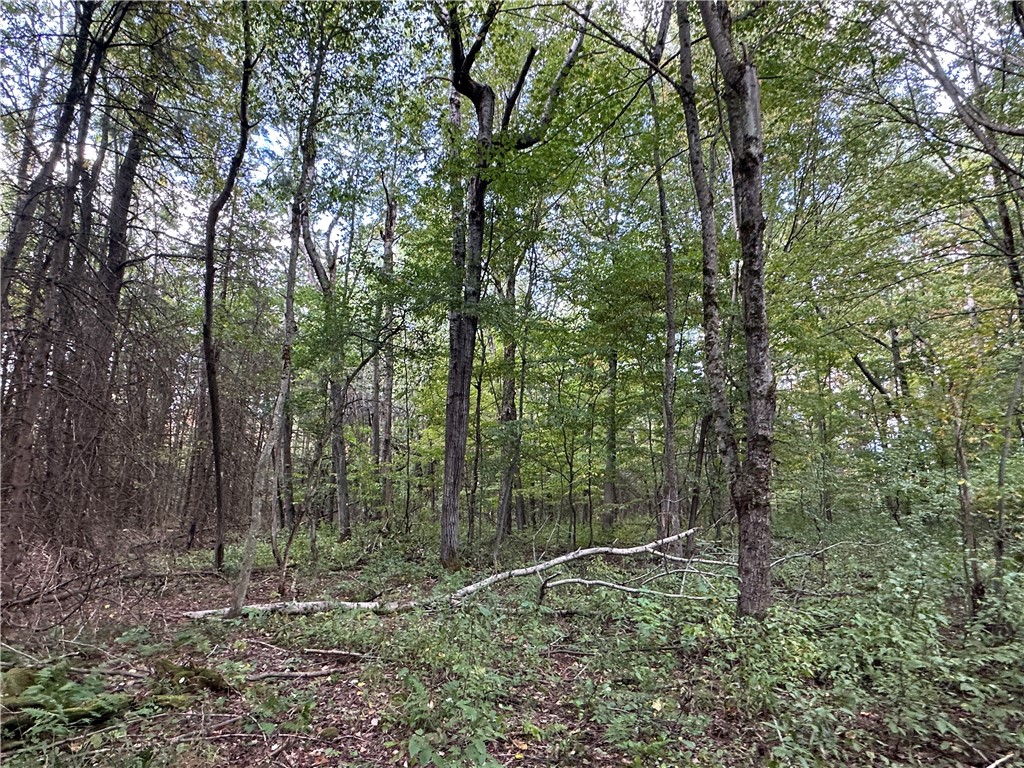 Lot 7 Mc Andrews Road Andover, NY 14806 - Photo 12 of 25