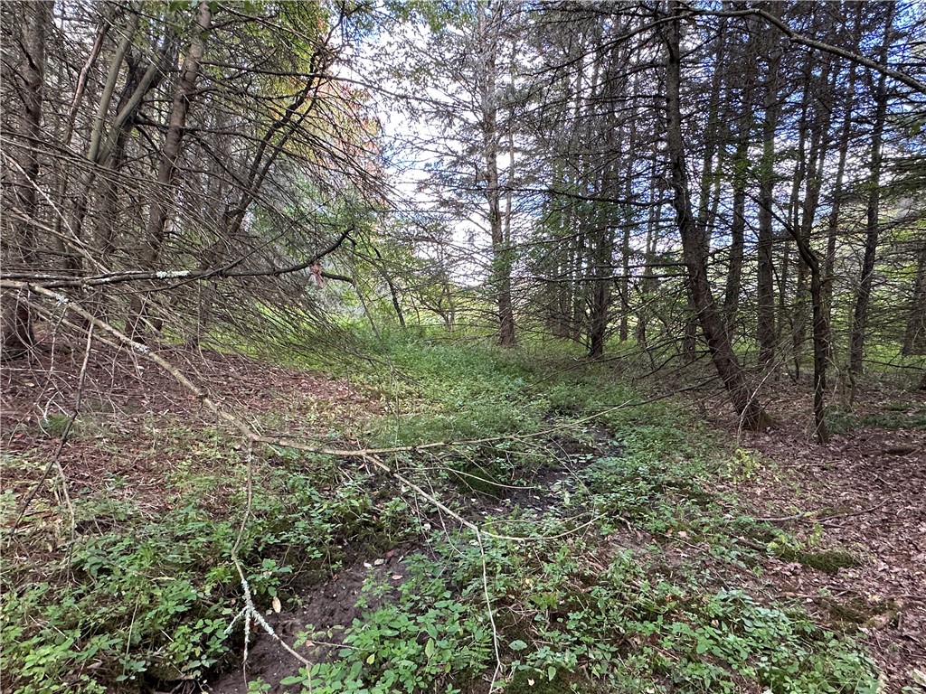 Lot 7 Mc Andrews Road Andover, NY 14806 - Photo 15 of 25