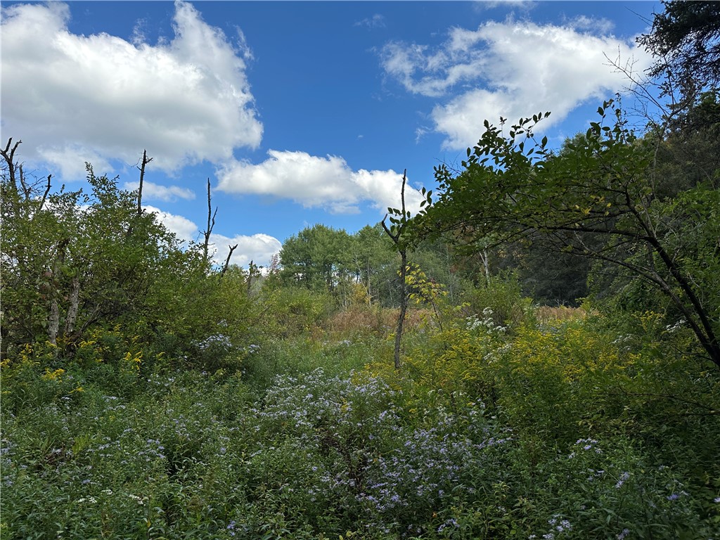 Lot 7 Mc Andrews Road Andover, NY 14806 - Photo 16 of 25