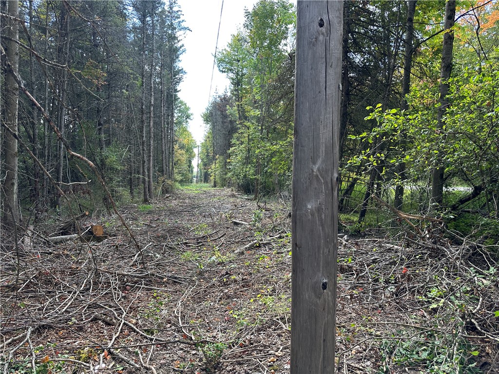 Lot 7 Mc Andrews Road Andover, NY 14806 - Photo 17 of 25