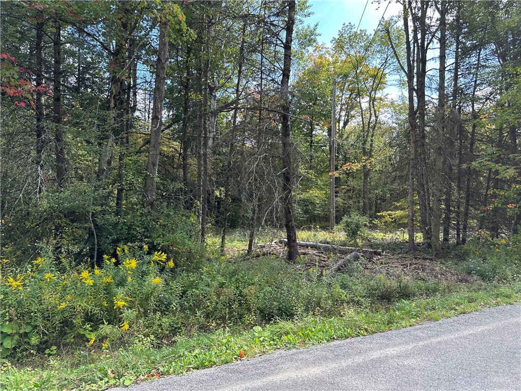 Lot 7 Mc Andrews Road Andover, NY 14806 - Photo 18 of 25