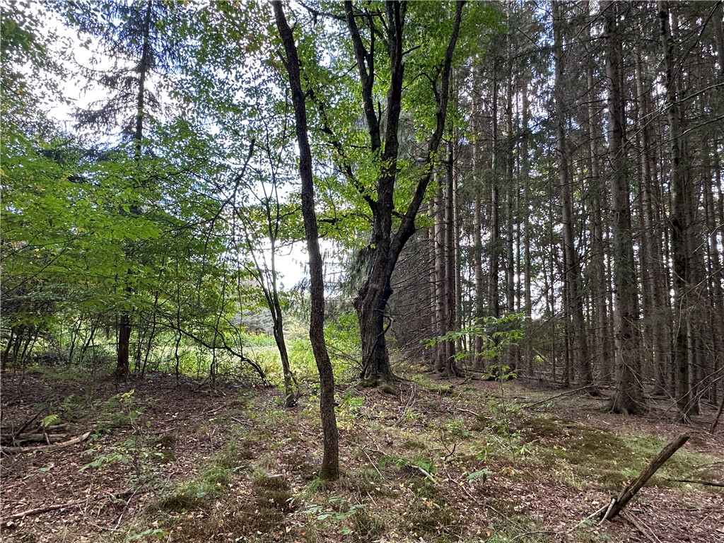 Lot 7 Mc Andrews Road Andover, NY 14806 - Photo 19 of 25