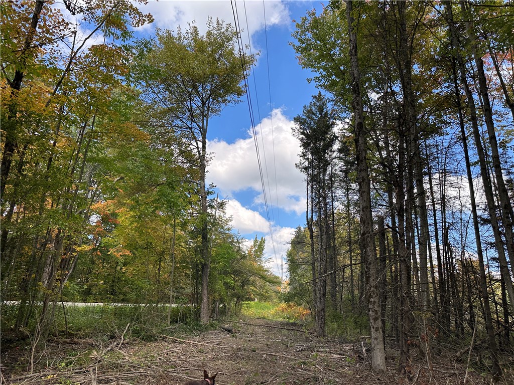 Lot 7 Mc Andrews Road Andover, NY 14806 - Photo 20 of 25