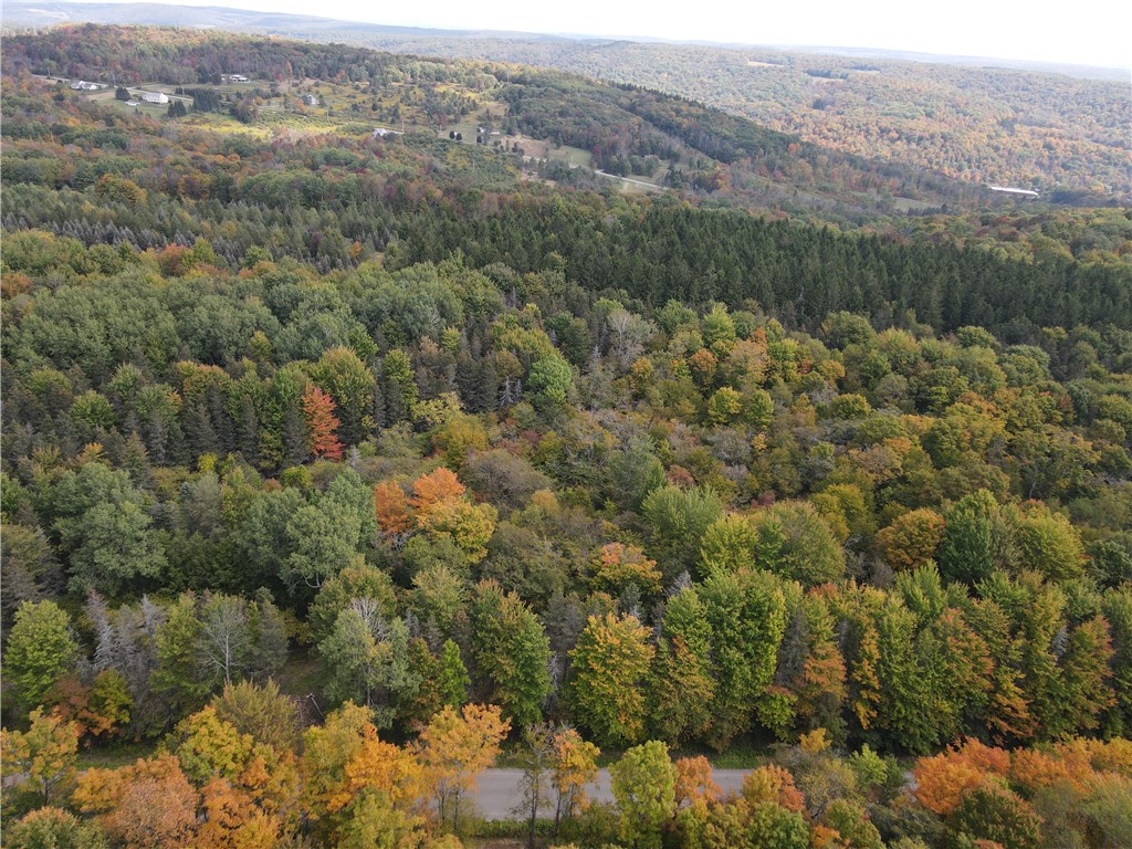 Lot 7 Mc Andrews Road Andover, NY 14806 - Photo 3 of 25