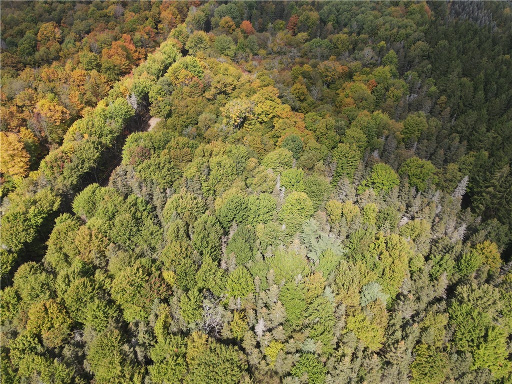Lot 7 Mc Andrews Road Andover, NY 14806 - Photo 4 of 25