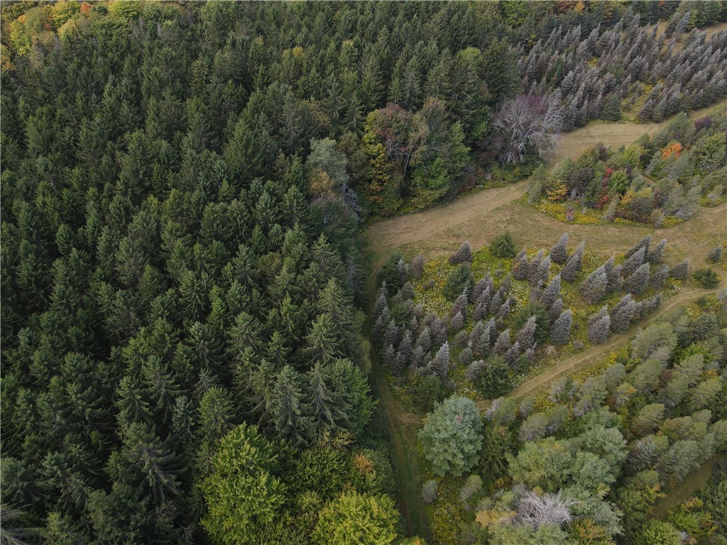 Lot 7 Mc Andrews Road Andover, NY 14806 - Photo 5 of 25