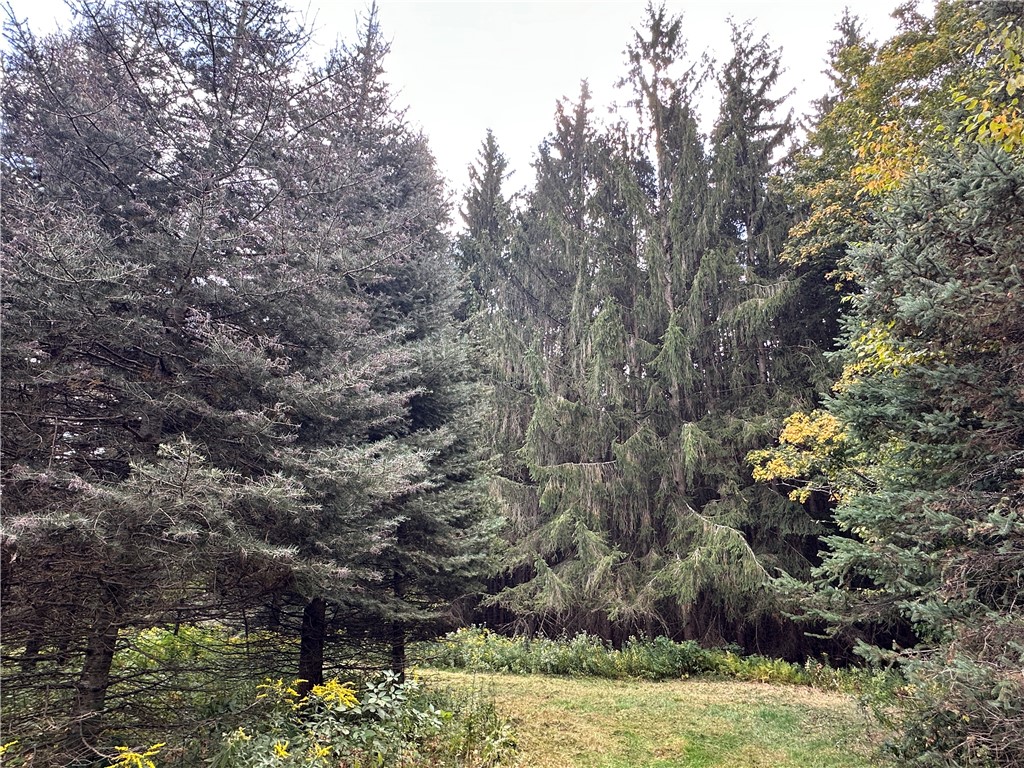 Lot 7 Mc Andrews Road Andover, NY 14806 - Photo 6 of 25