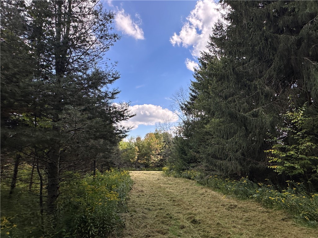 Lot 7 Mc Andrews Road Andover, NY 14806 - Photo 7 of 25