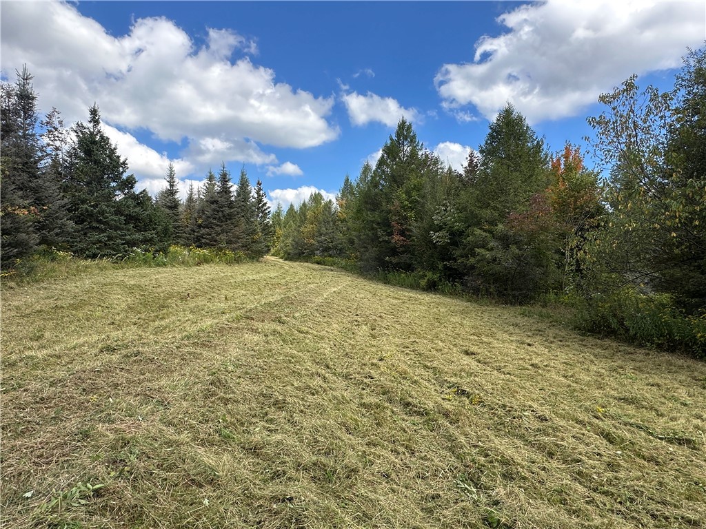 Lot 7 Mc Andrews Road Andover, NY 14806 - Photo 8 of 25