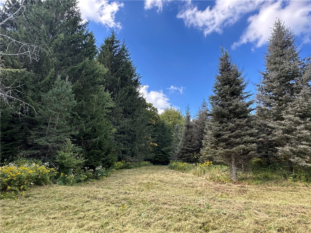 Lot 7 Mc Andrews Road Andover, NY 14806 - Photo 9 of 25