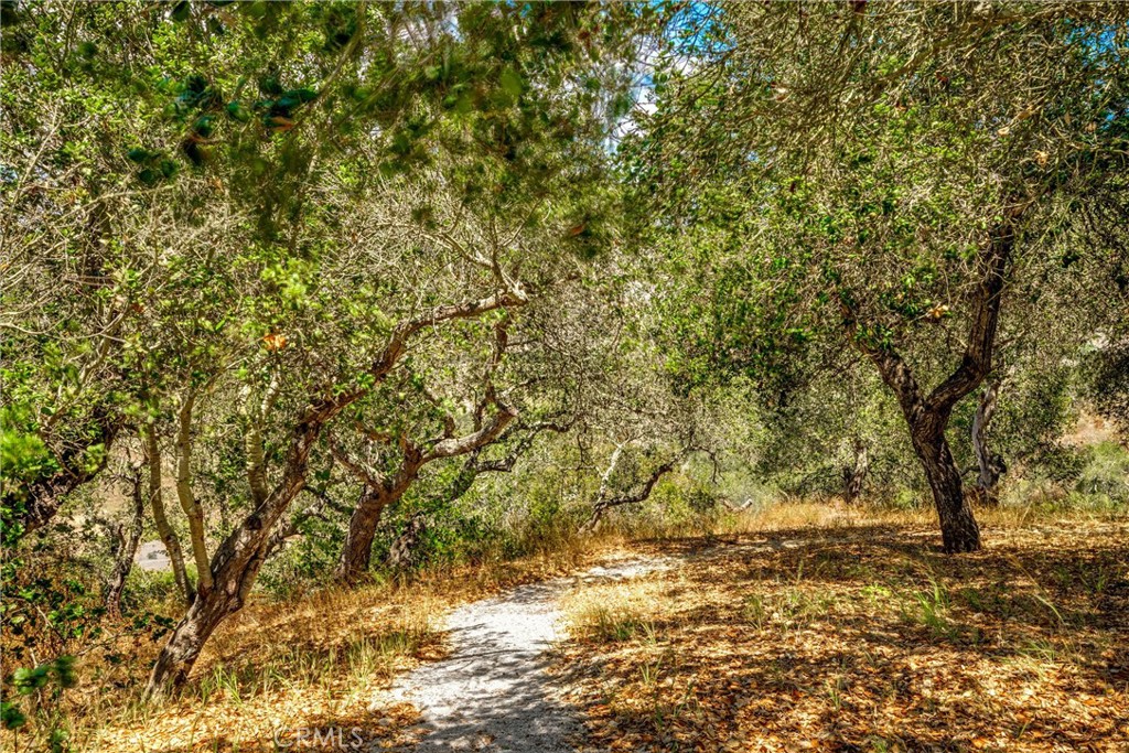655 Mission Springs Road Arroyo Grande, CA 93420 - Photo 25 of 44 Gallery Image 25