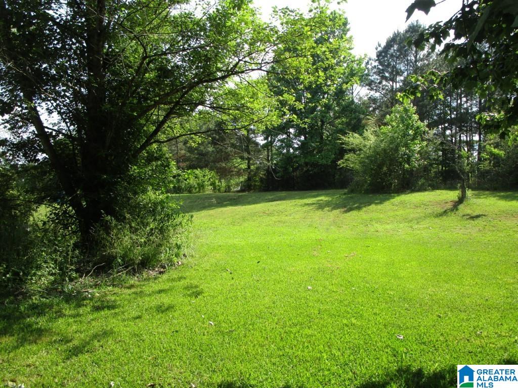 434 Skyview Lake Road Warrior, AL 35180 - Photo 2 of 17