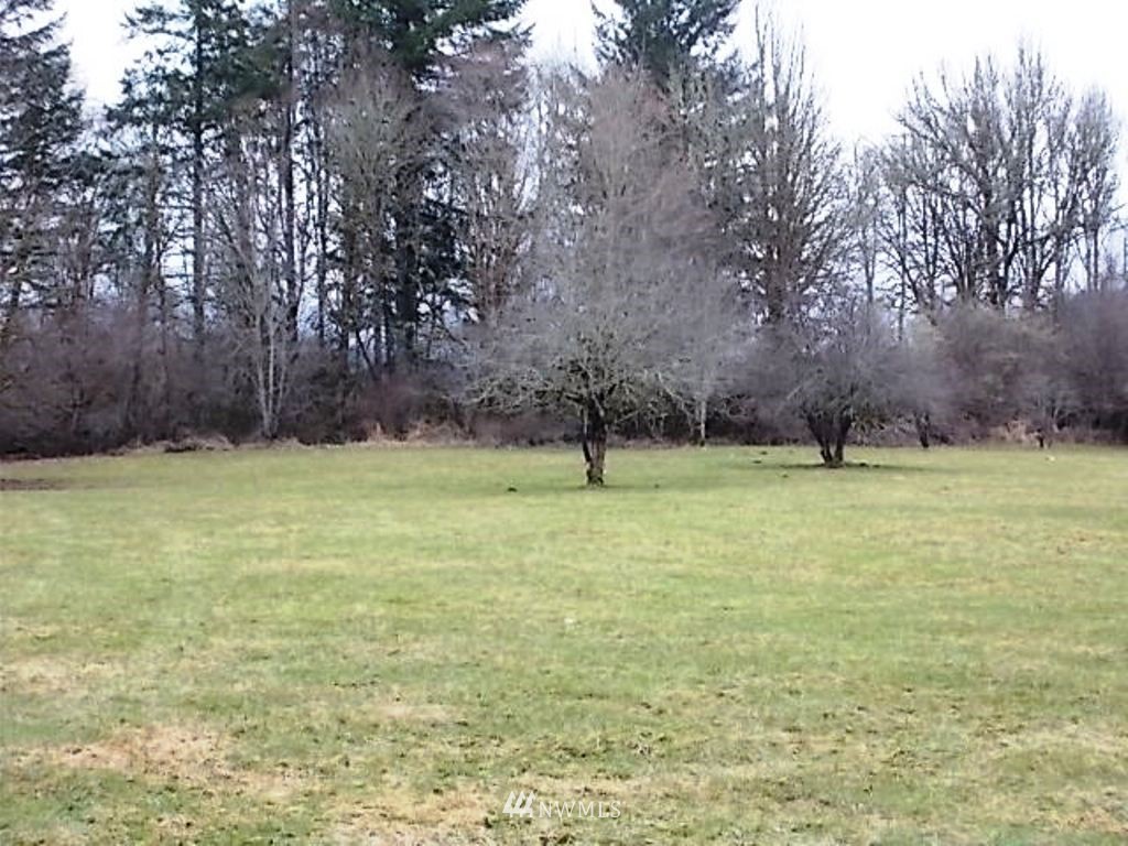 560 Skinner Road Randle, WA 98377 - Photo 17 of 40 Gallery Image 17