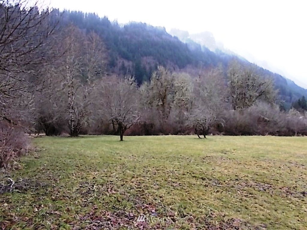 560 Skinner Road Randle, WA 98377 - Photo 34 of 40 Gallery Image 34