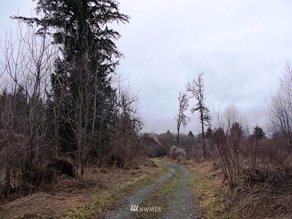 560 Skinner Road Randle, WA 98377 - Photo 8 of 40 Gallery Image 8