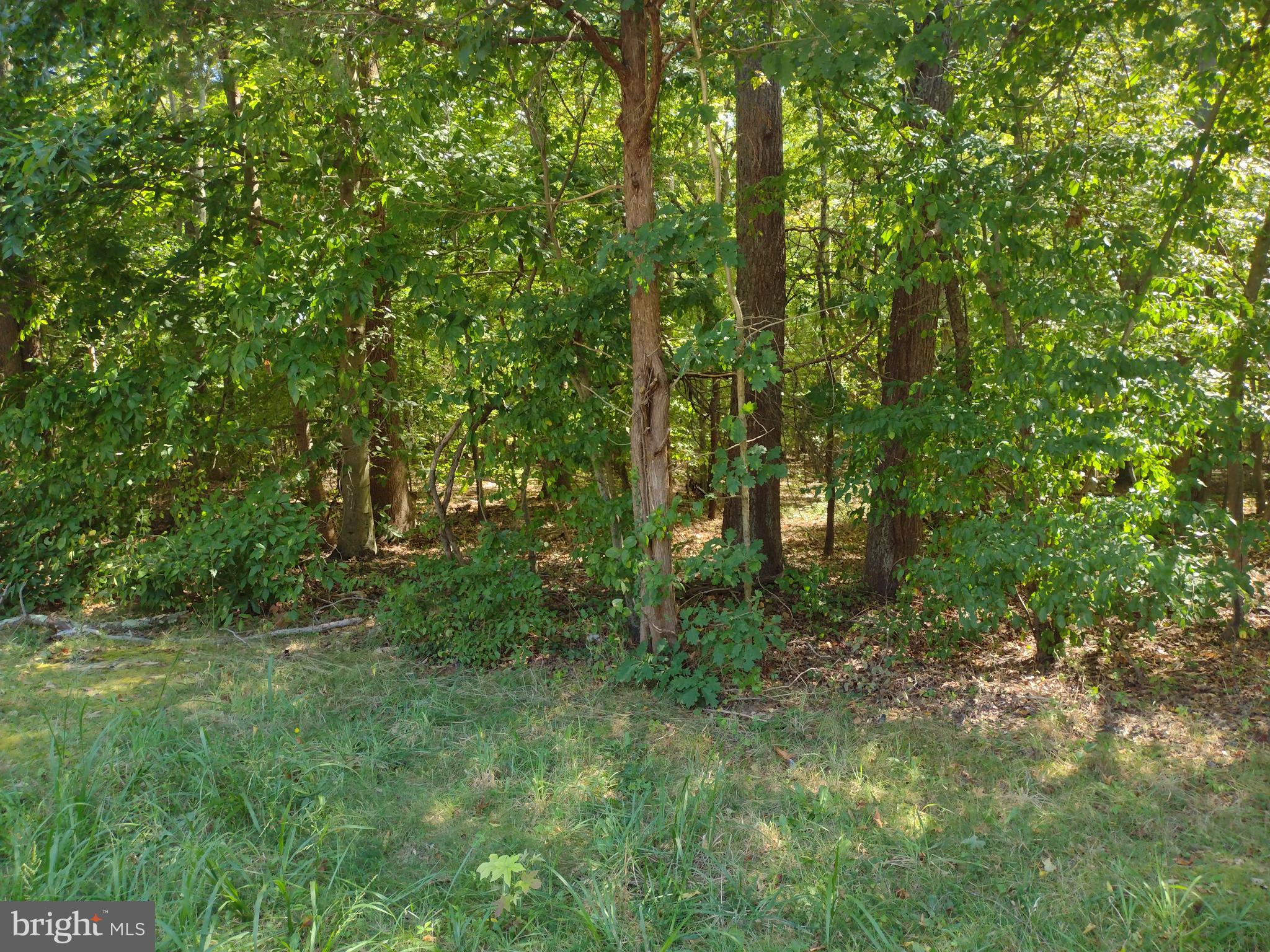 195 Turkey Point Road Edgewater, MD 21037 - Photo 1 of 2