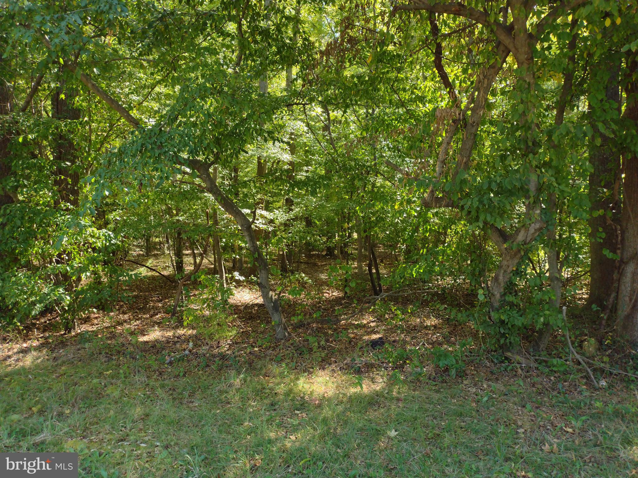 195 Turkey Point Road Edgewater, MD 21037 - Photo 2 of 2