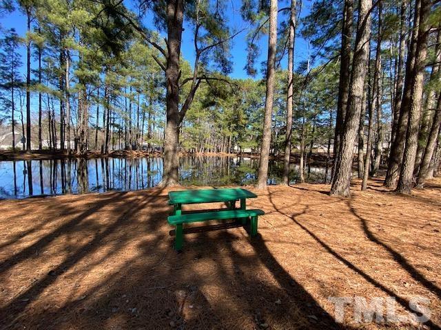 506 Homestead Park Drive Apex, NC 27502 - Photo 18 of 18 a park view with large trees