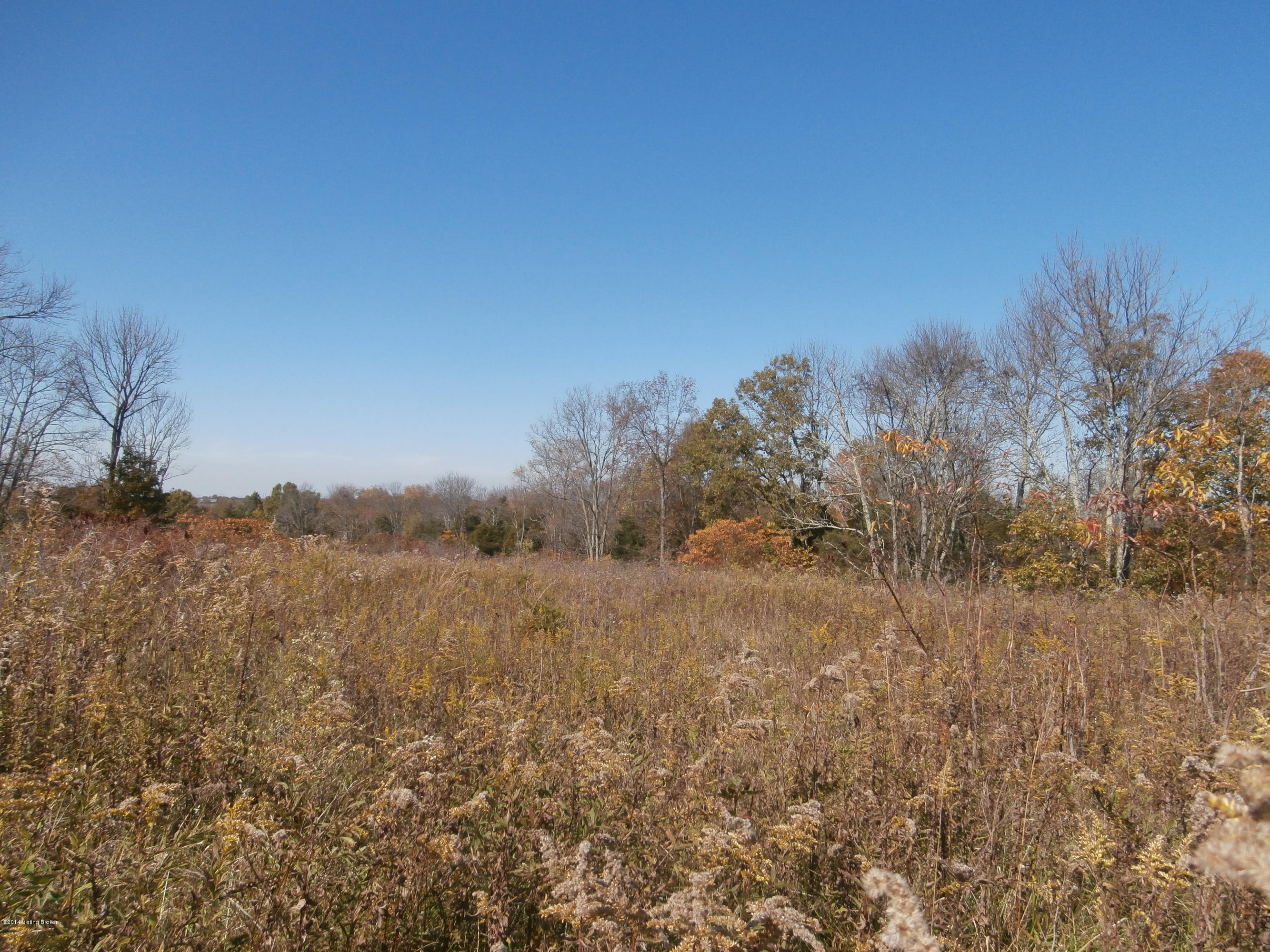 0 George Creek Road Campbellsburg, KY 40011 - Photo 10 of 15 Ridge.