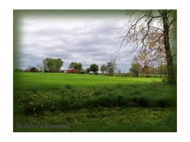 0 Brindle Road, Unit TRACT 5 Ostrander, OH 43061 - Photo 2 of 12