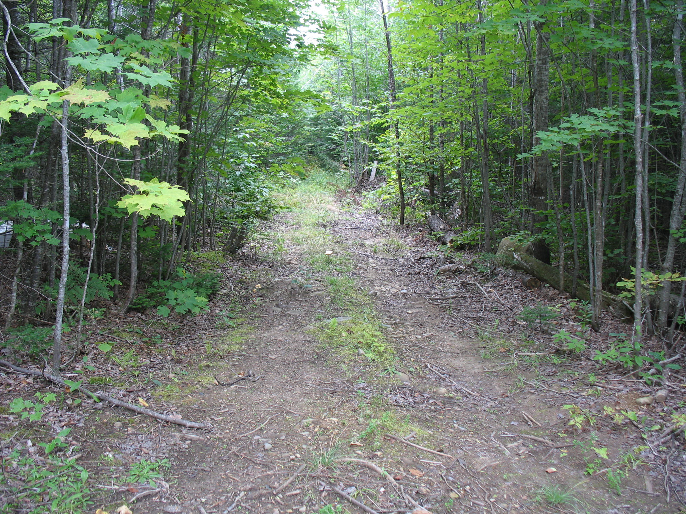 Map2-lt25 Smith Road Brownville, ME 04414 - Photo 25 of 32 IMG_1403