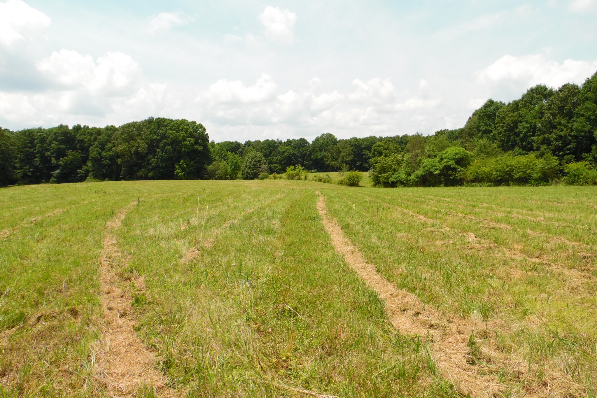 0 Staggs Loop Lawrenceburg, TN 38464 - Photo 1 of 11 Gallery Image 1