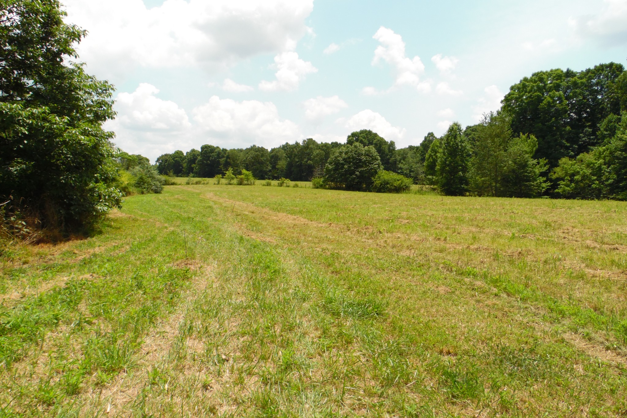0 Staggs Loop Lawrenceburg, TN 38464 - Photo 2 of 11 Gallery Image 2