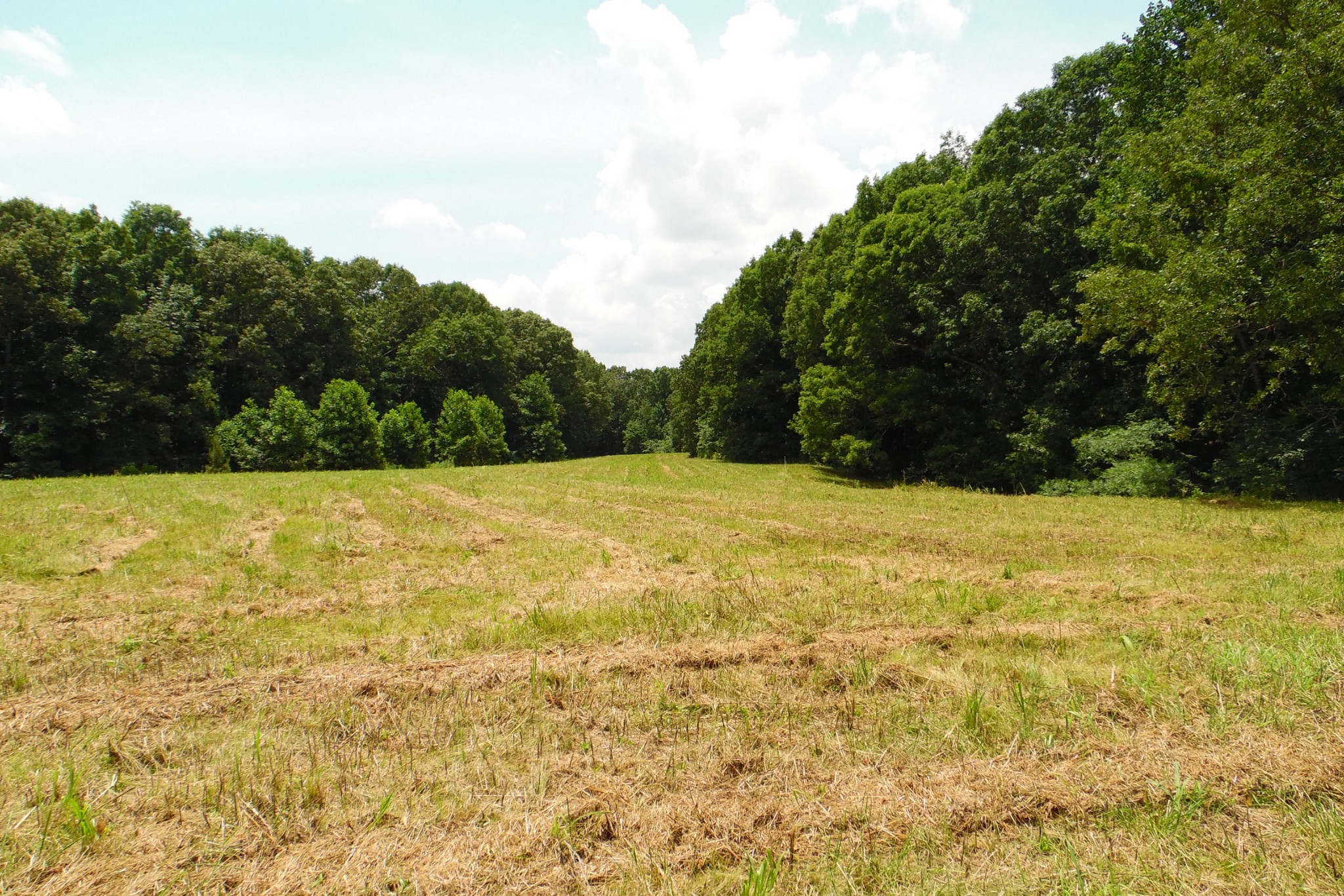 0 Staggs Loop Lawrenceburg, TN 38464 - Photo 3 of 11 Gallery Image 3