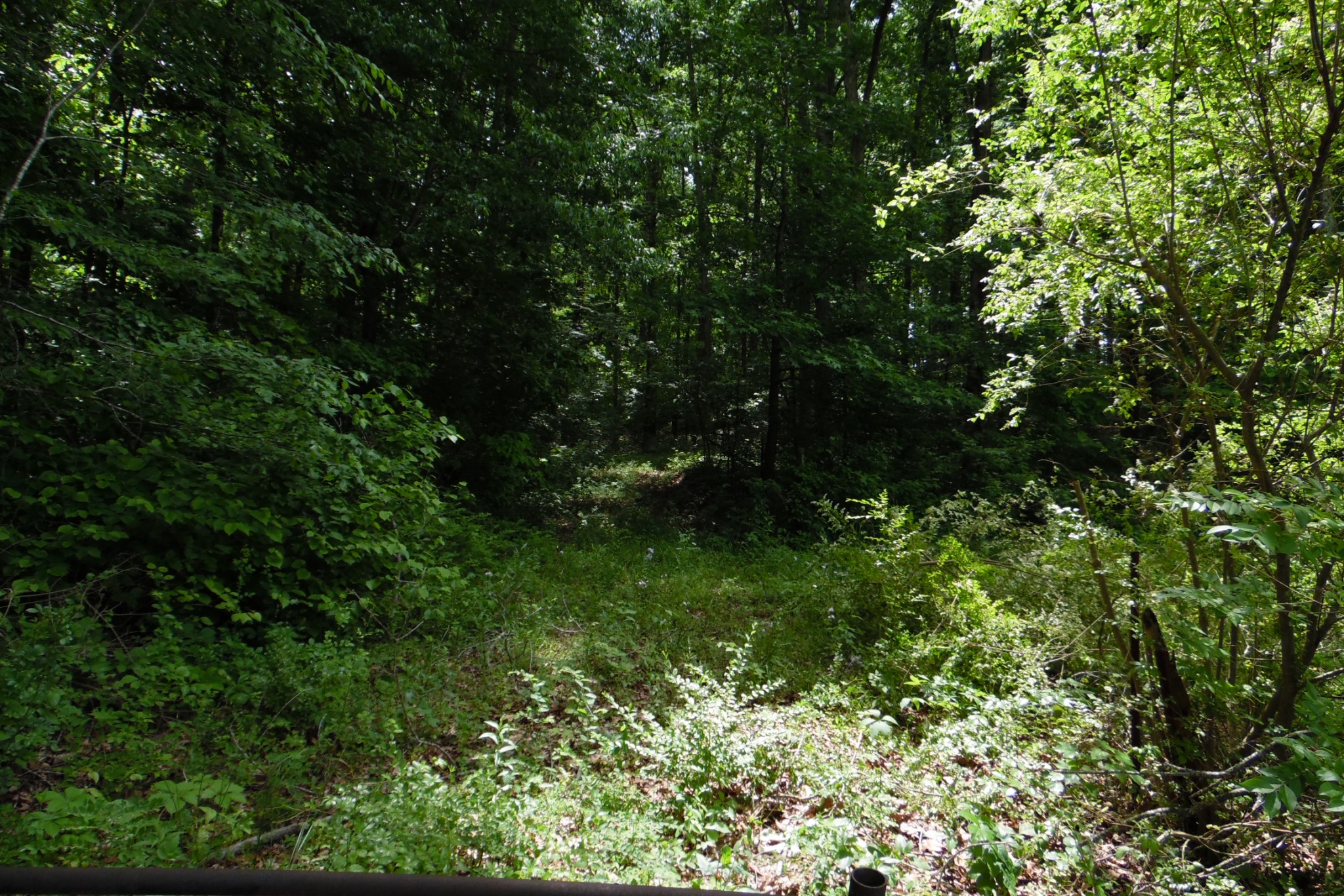 0 Staggs Loop Lawrenceburg, TN 38464 - Photo 4 of 11 Gallery Image 4