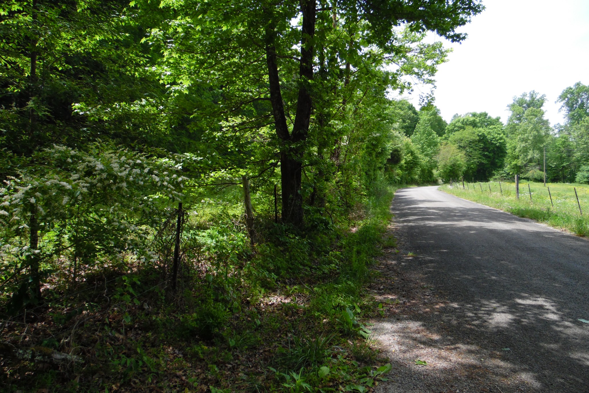 0 Staggs Loop Lawrenceburg, TN 38464 - Photo 6 of 11 Gallery Image 6