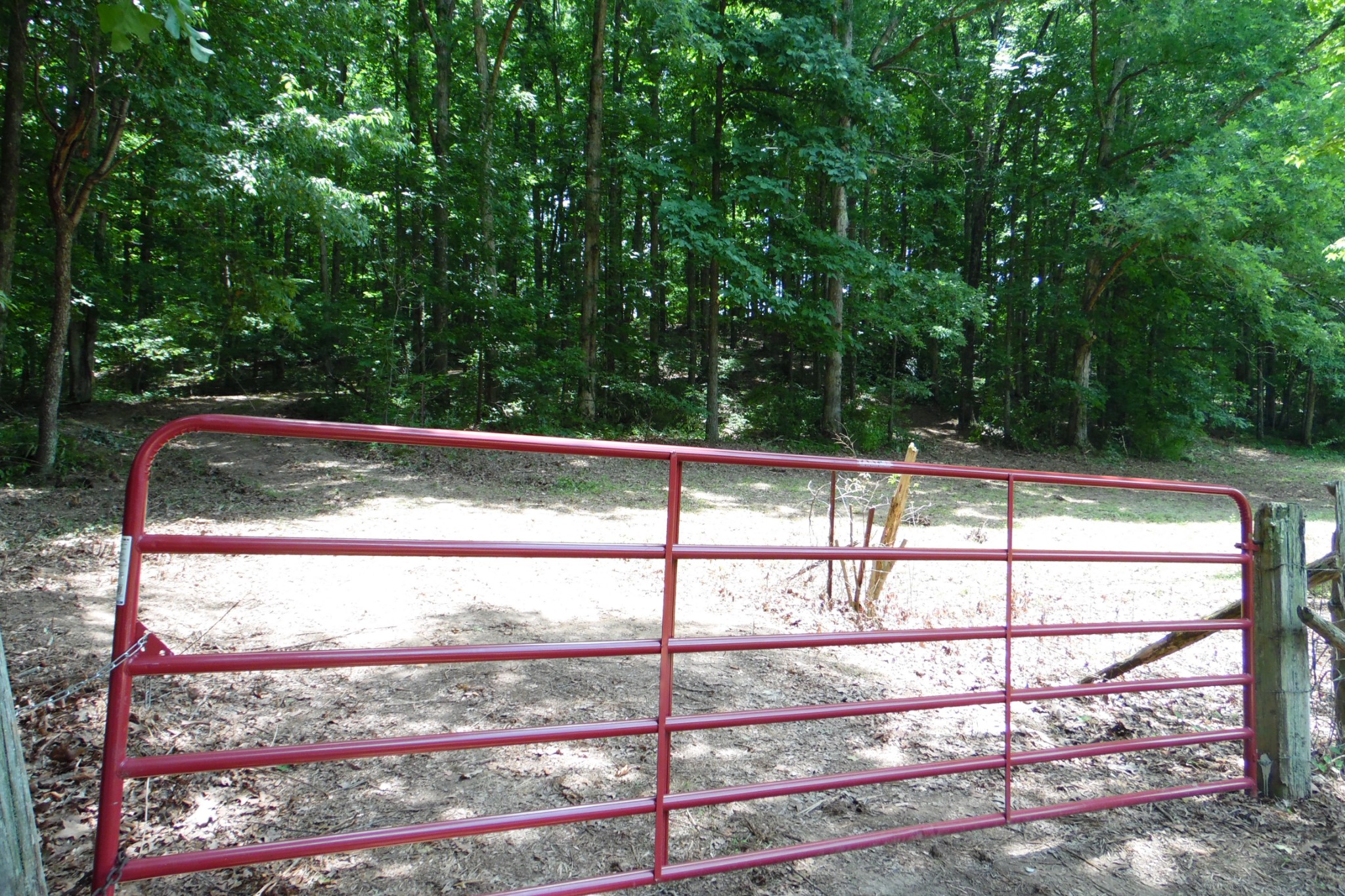 0 Staggs Loop Lawrenceburg, TN 38464 - Photo 8 of 11 Gallery Image 8