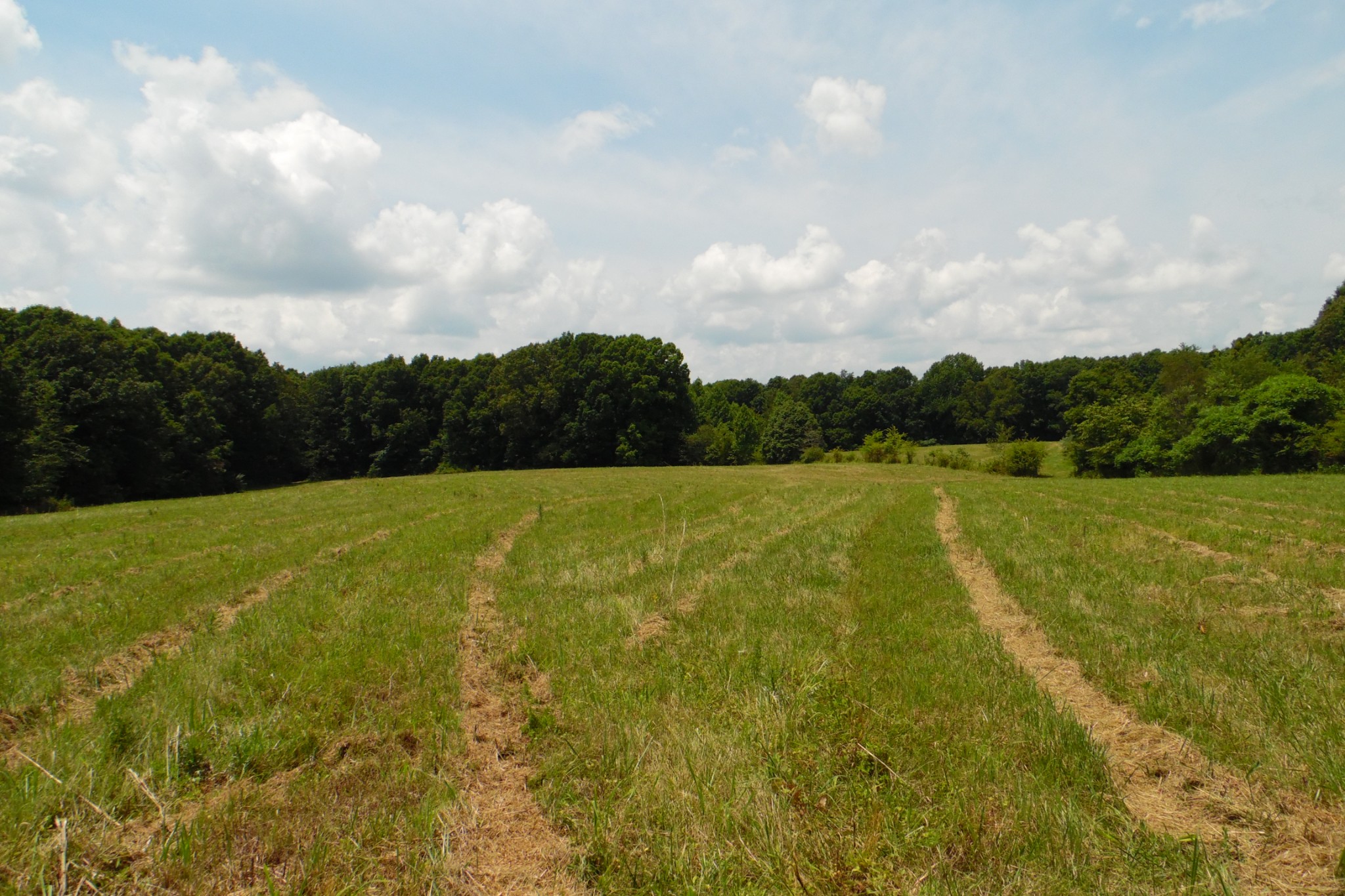 0 Staggs Loop Lawrenceburg, TN 38464 - Photo 9 of 11 Gallery Image 9
