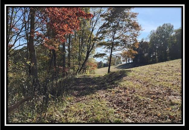 0 Maysville-Williams Road, Unit TRACT 1) Logan, OH 43138 - Photo 36 of 47 image036