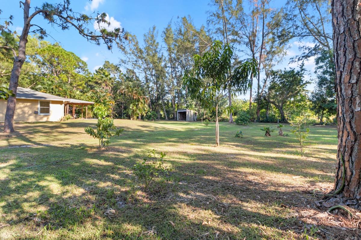 12310 55th Road North Royal Palm Beach, FL 33411 - Photo 21 of 28 Yard