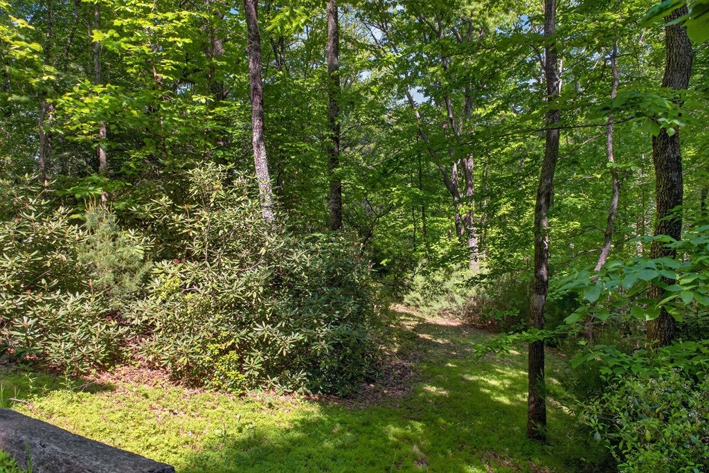 86 Timbercrest Lane Fancy Gap, VA 24328 - Photo 7 of 51 Gallery Image 7
