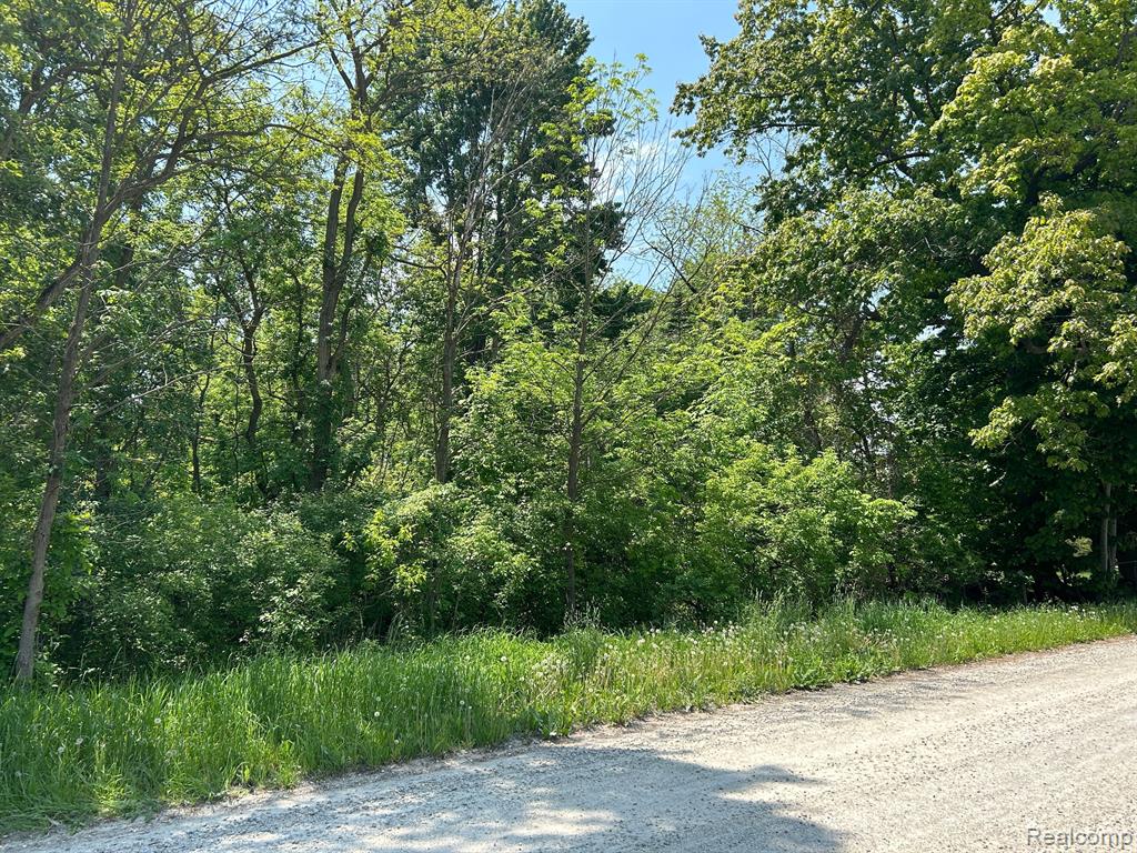 Vl Hough Road Allenton, MI 48002 - Photo 1 of 4
