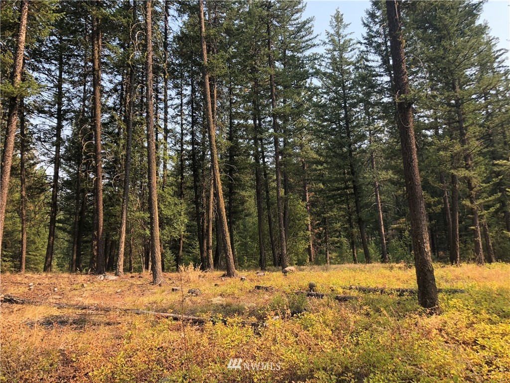 147 Yellowleaf Road Winthrop, WA 98862 - Photo 1 of 27 Gallery Image 1