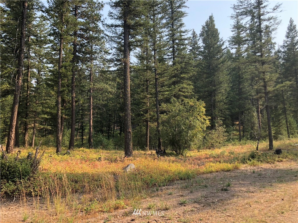 147 Yellowleaf Road Winthrop, WA 98862 - Photo 2 of 27 Gallery Image 2